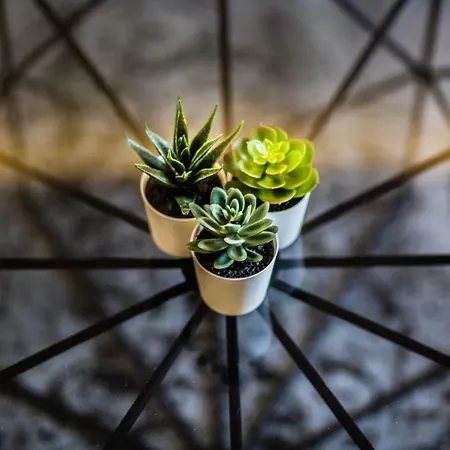 Downtown Marcius Luxury With Jacuzzi & Sauna Zadar