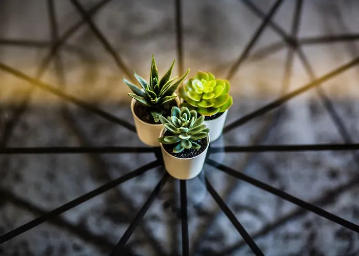 Downtown Marcius Luxury With Jacuzzi & Sauna Zadar